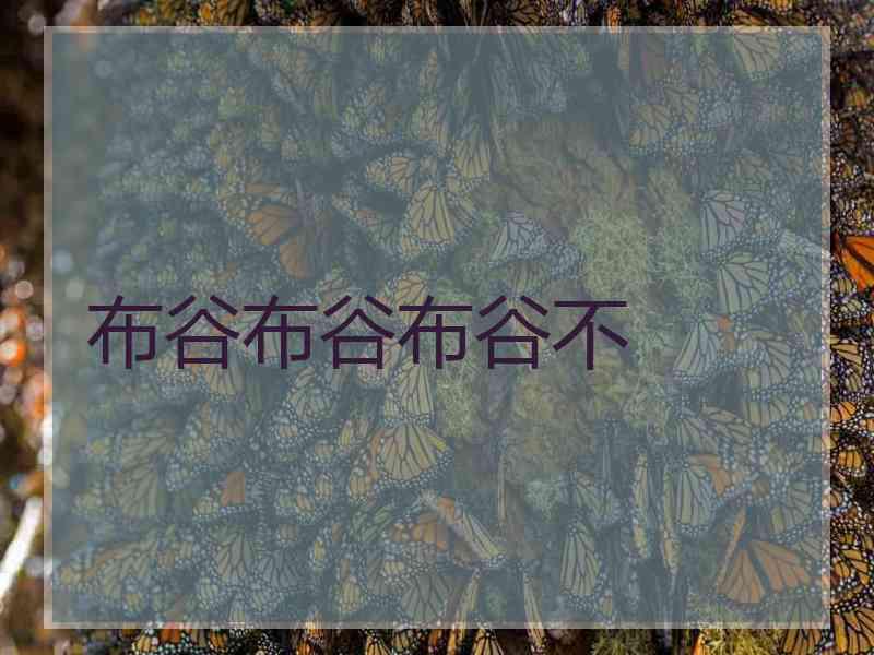 布谷布谷布谷不 布谷布谷布谷不
