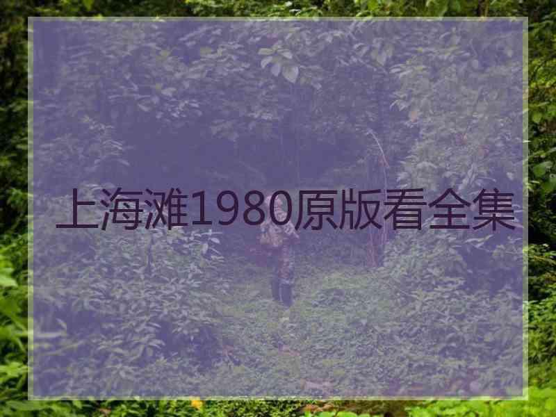 上海滩1980原版看全集