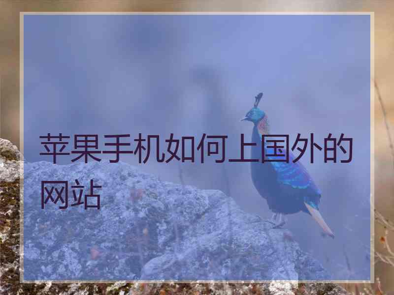 苹果手机如何上国外的网站
