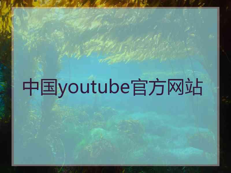 中国youtube官方网站