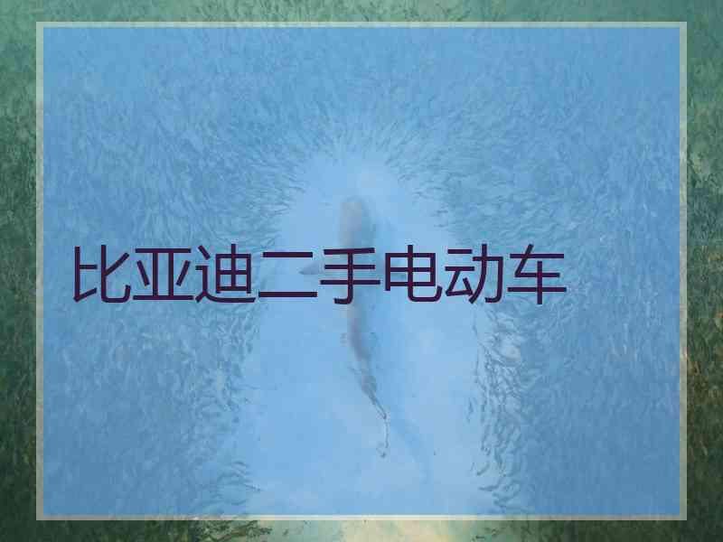 比亚迪二手电动车