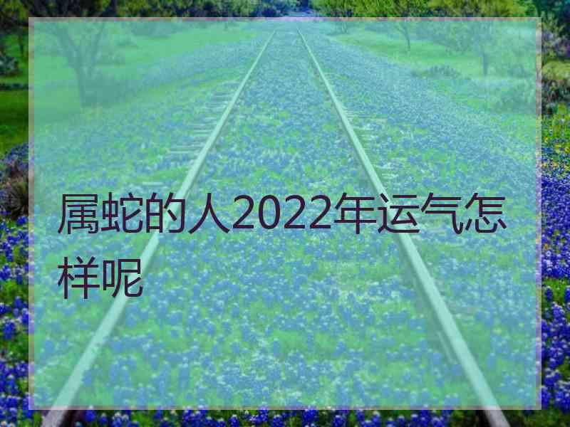 属蛇的人2022年运气怎样呢