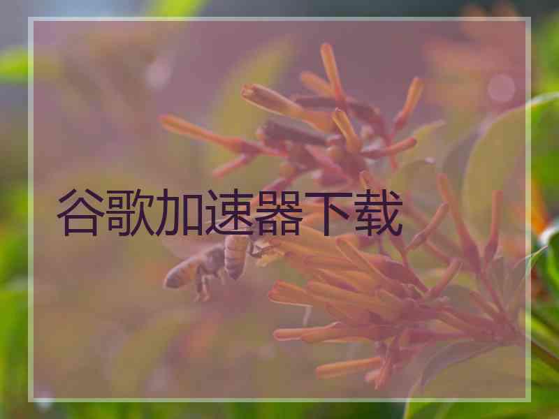 谷歌加速器下载