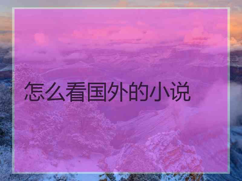 怎么看国外的小说