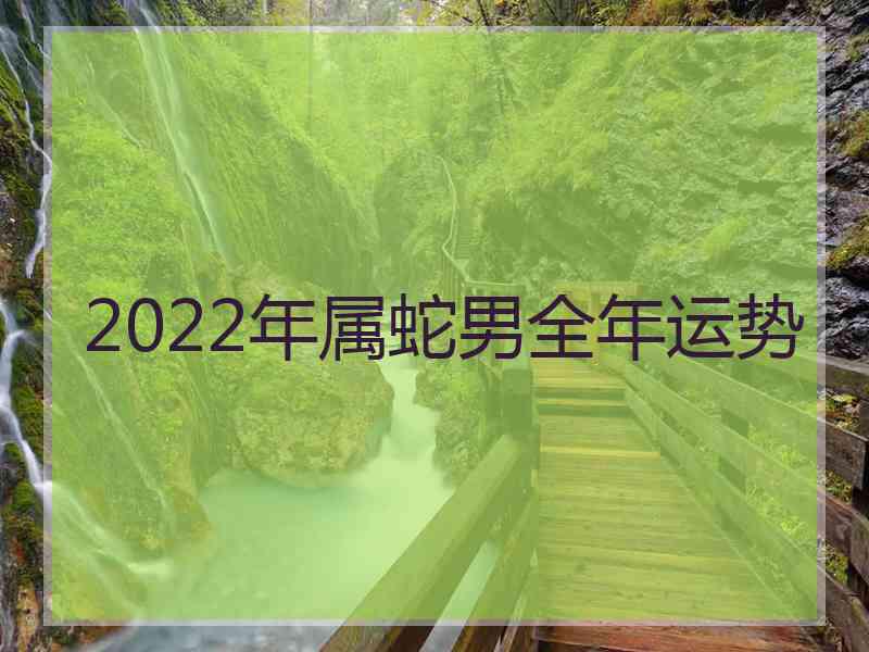 2022年属蛇男全年运势