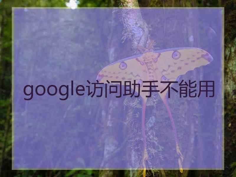 google访问助手不能用