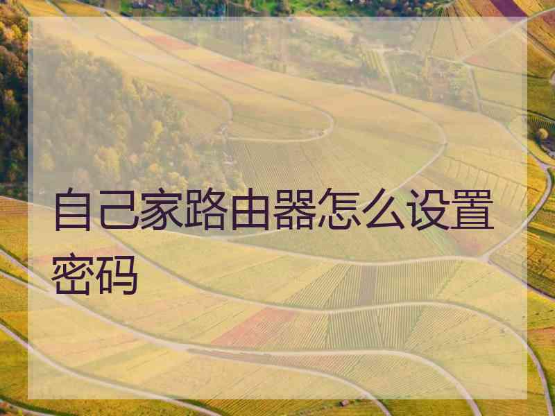 自己家路由器怎么设置密码