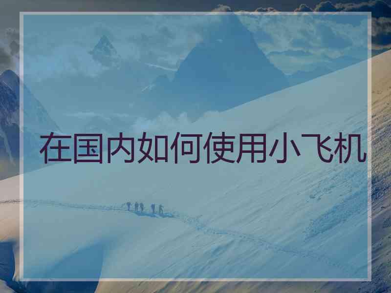 在国内如何使用小飞机