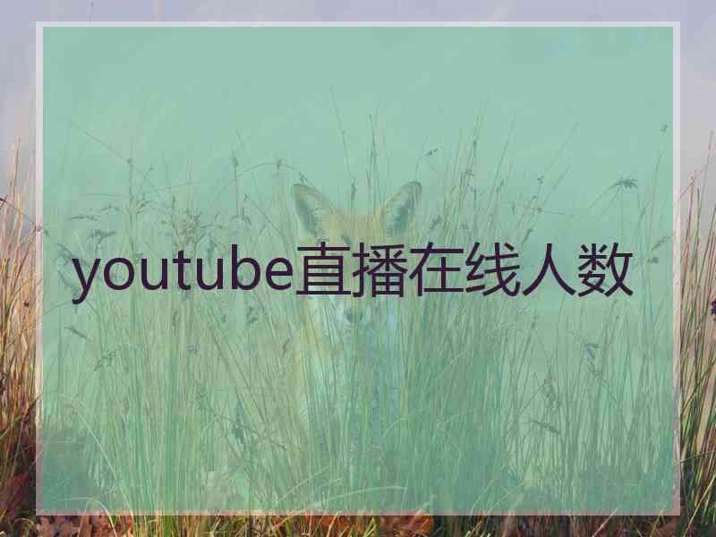 youtube直播在线人数