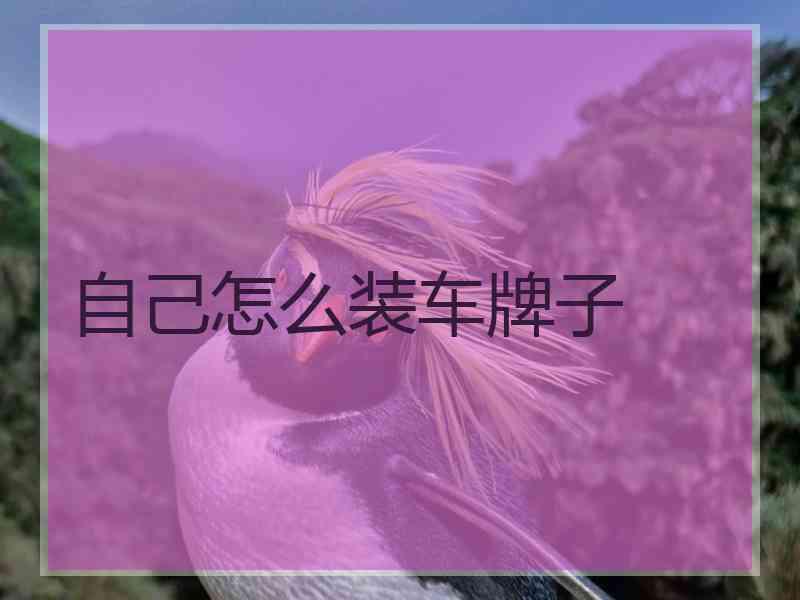 自己怎么装车牌子