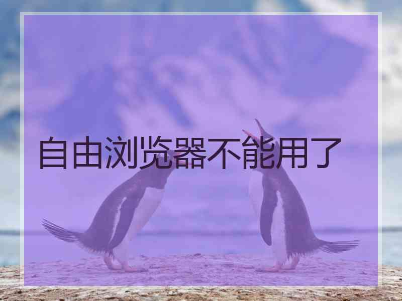 自由浏览器不能用了