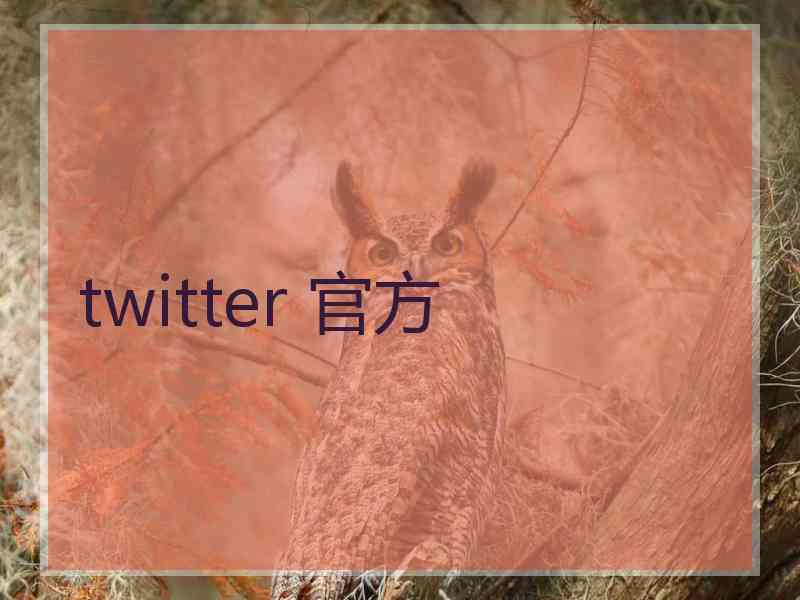twitter 官方