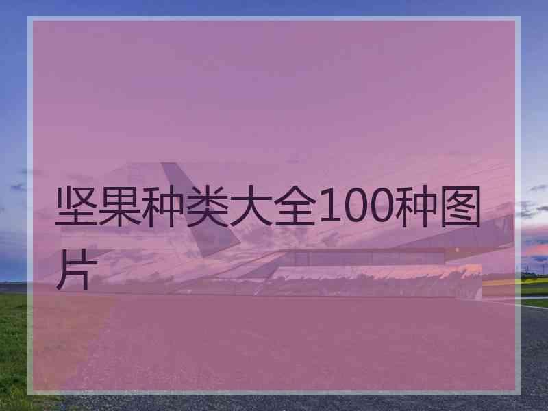 坚果种类大全100种图片