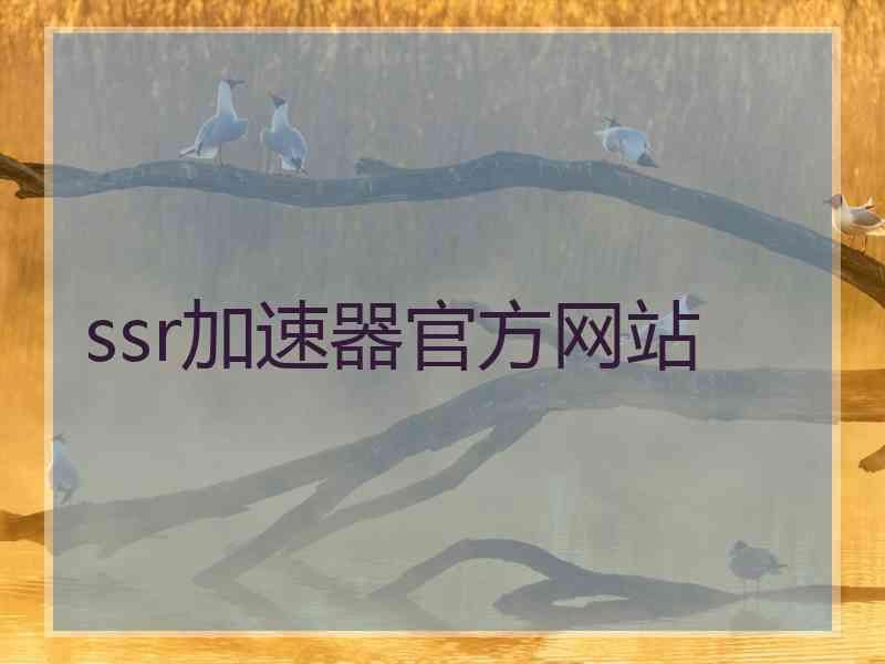 ssr加速器官方网站