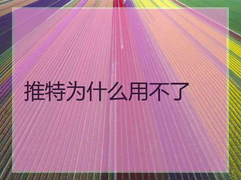 推特为什么用不了