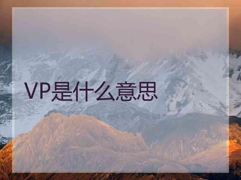 VP是什么意思
