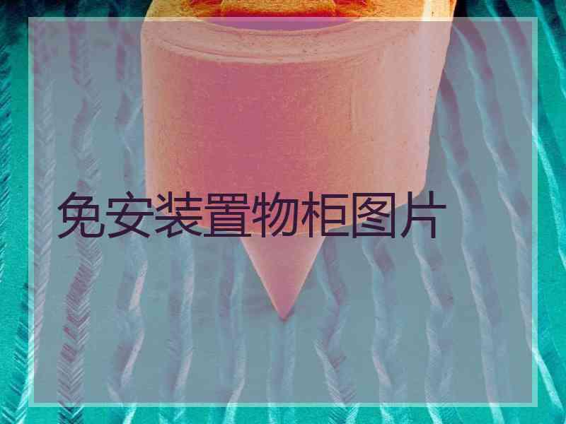 免安装置物柜图片
