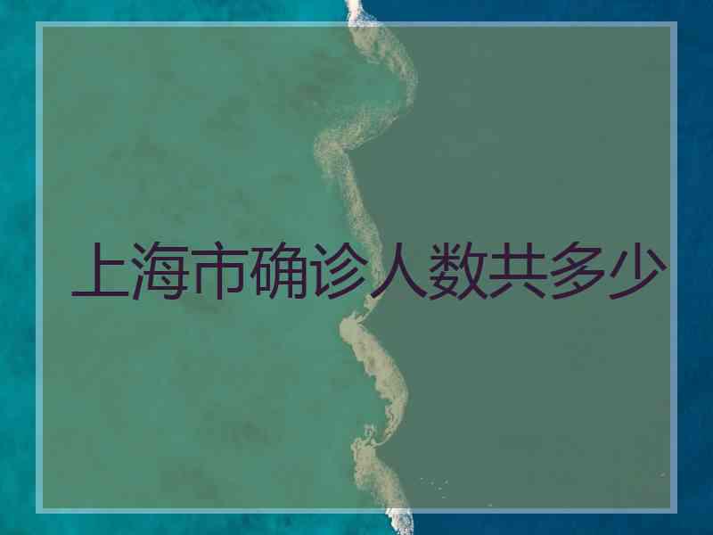 上海市确诊人数共多少