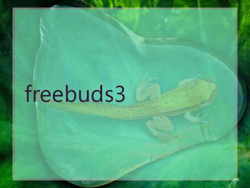 freebuds3