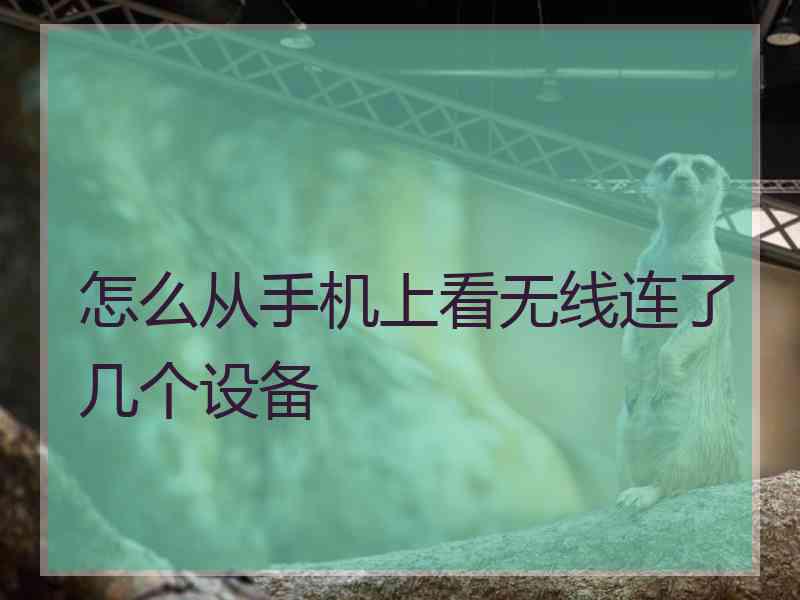 怎么从手机上看无线连了几个设备