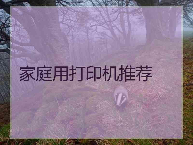家庭用打印机推荐