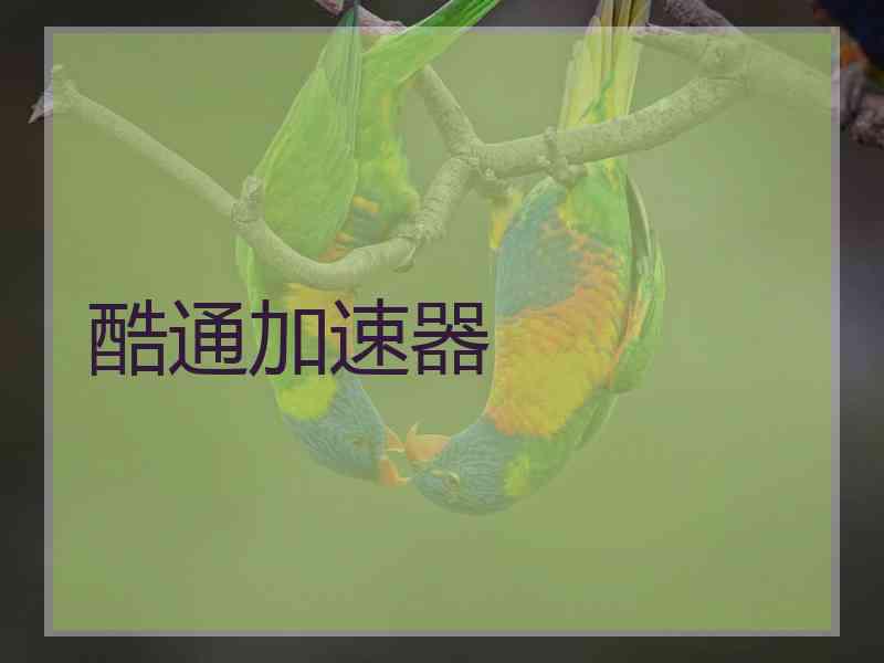 酷通加速器