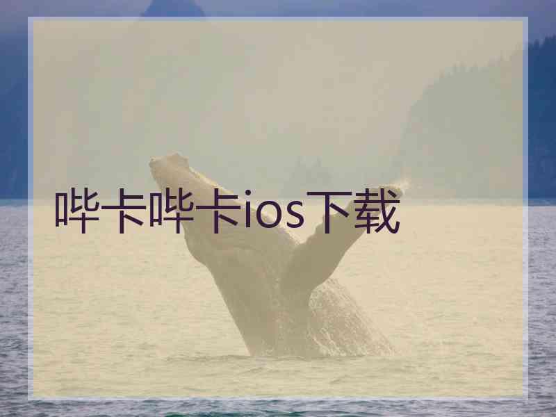 哔卡哔卡ios下载