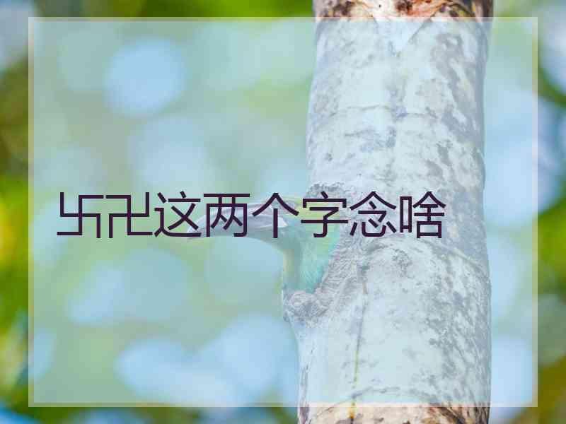 卐卍这两个字念啥