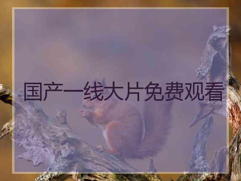 国产一线大片免费观看