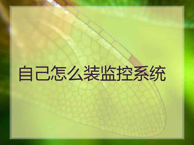 自己怎么装监控系统