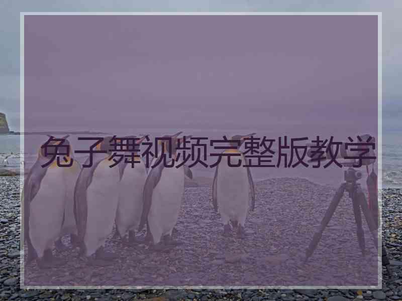 兔子舞视频完整版教学
