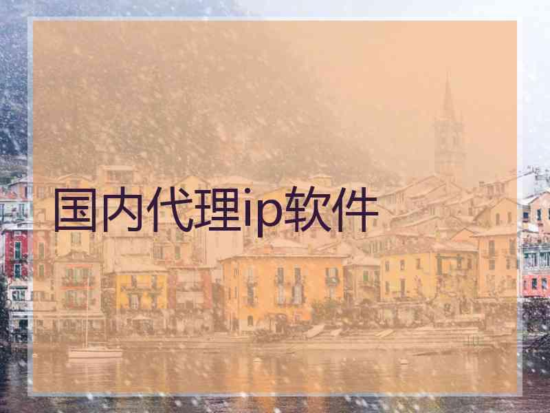 国内代理ip软件