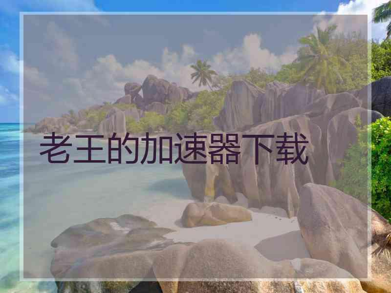 老王的加速器下载