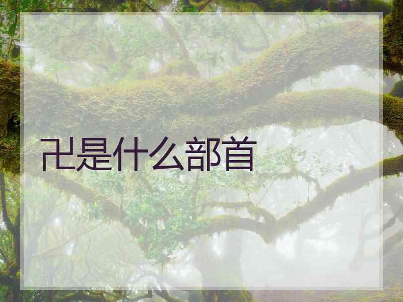 卍是什么部首