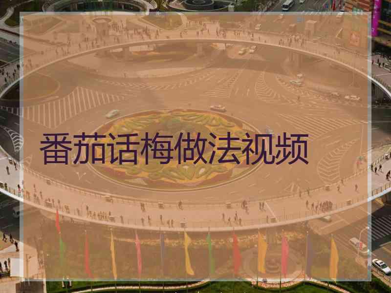 番茄话梅做法视频