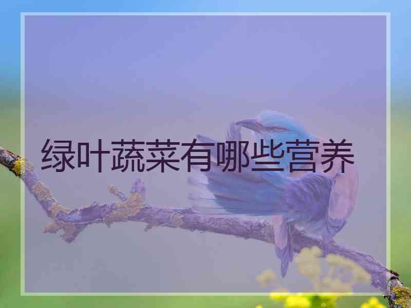 绿叶蔬菜有哪些营养