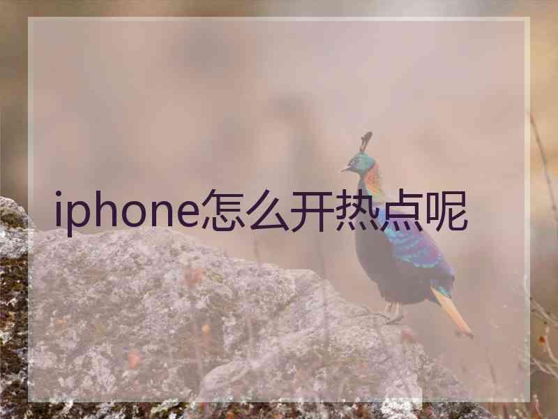 iphone怎么开热点呢