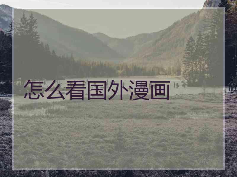 怎么看国外漫画