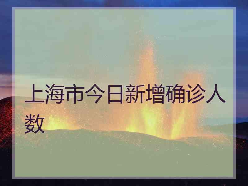 上海市今日新增确诊人数