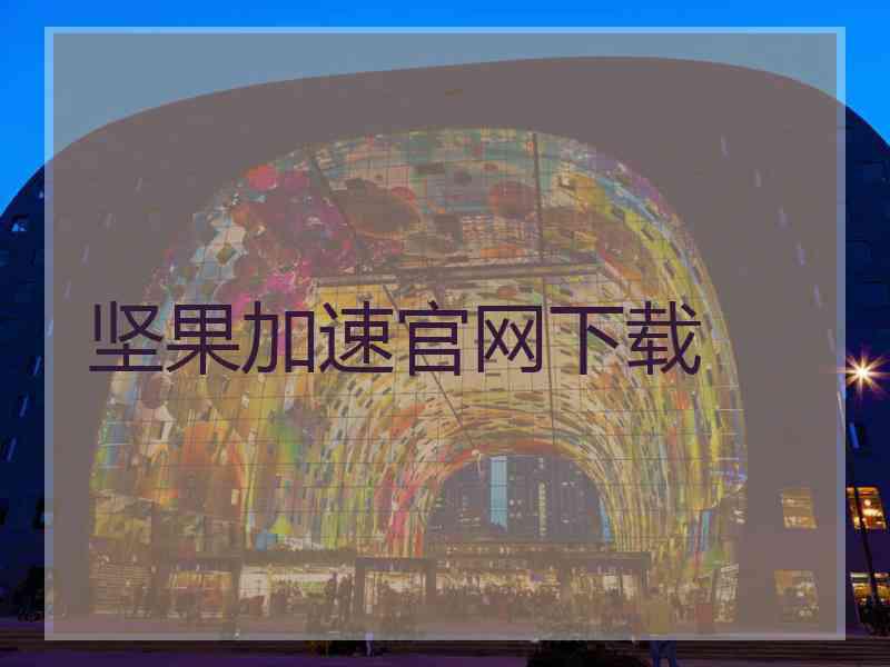 坚果加速官网下载