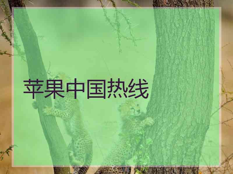 苹果中国热线