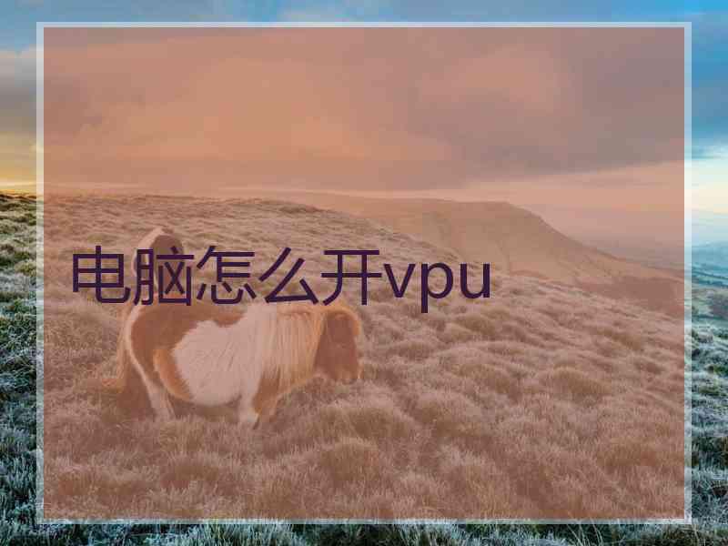 电脑怎么开vpu