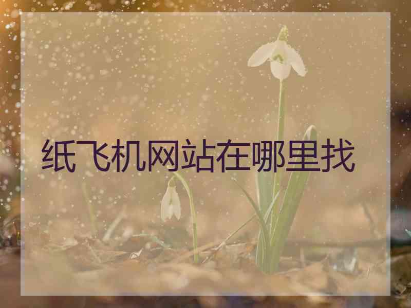 纸飞机网站在哪里找