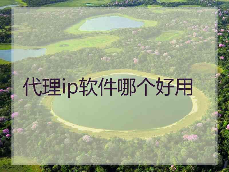 代理ip软件哪个好用