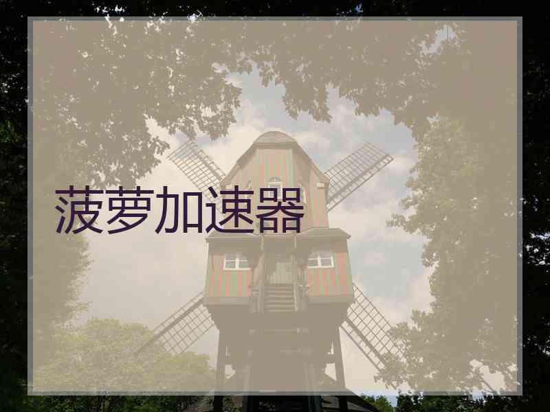 菠萝加速器