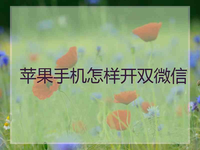 苹果手机怎样开双微信