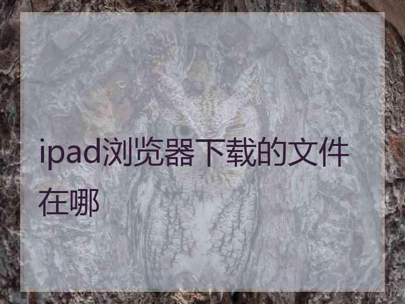 ipad浏览器下载的文件在哪