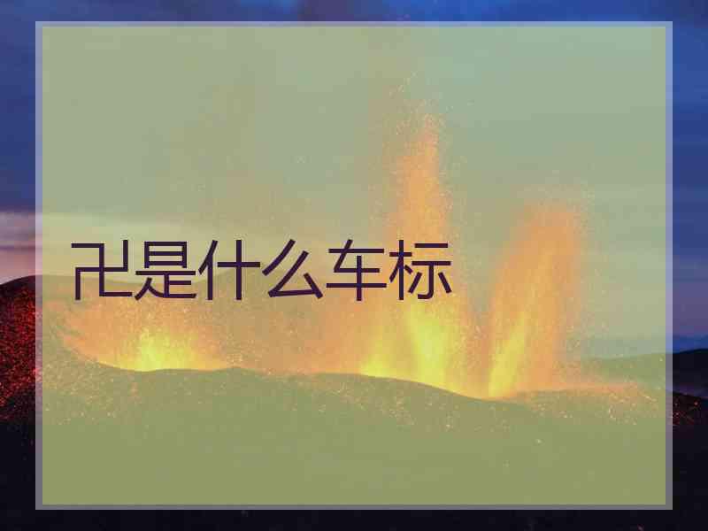 卍是什么车标