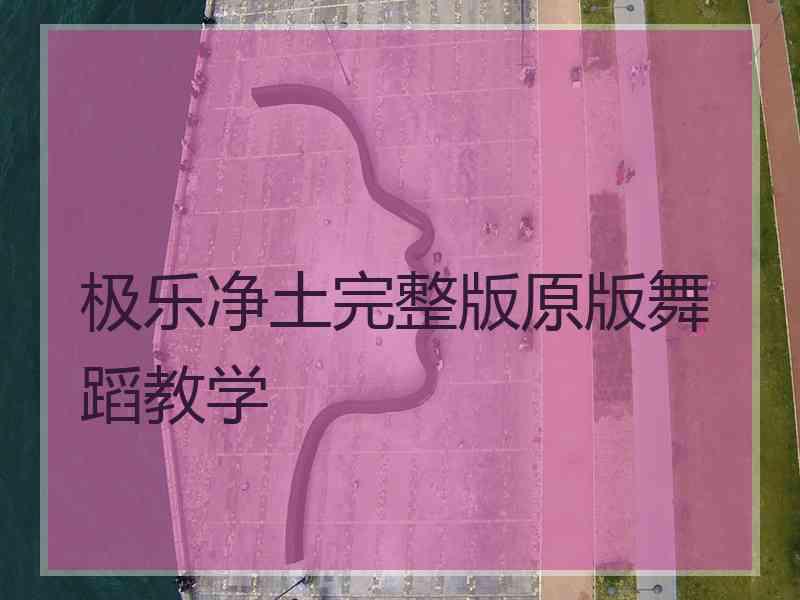 极乐净土完整版原版舞蹈教学