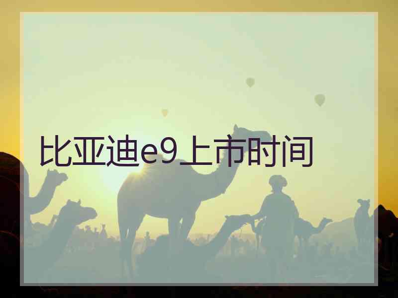 比亚迪e9上市时间